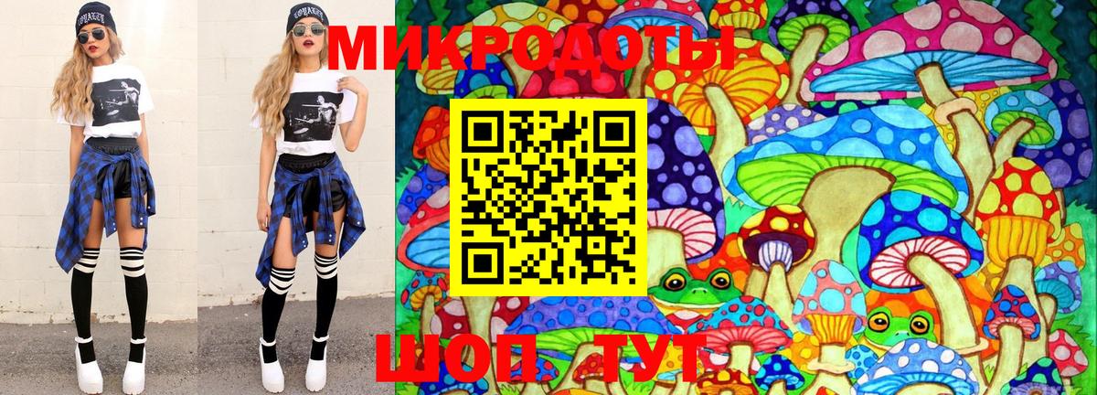 Псилоцибиновые грибы Psilocybe Красноярск