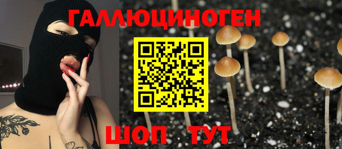 купить закладку  Вход с VPN  Красноярск  Галлюциногенные грибы MAGIC MUSHROOMS 